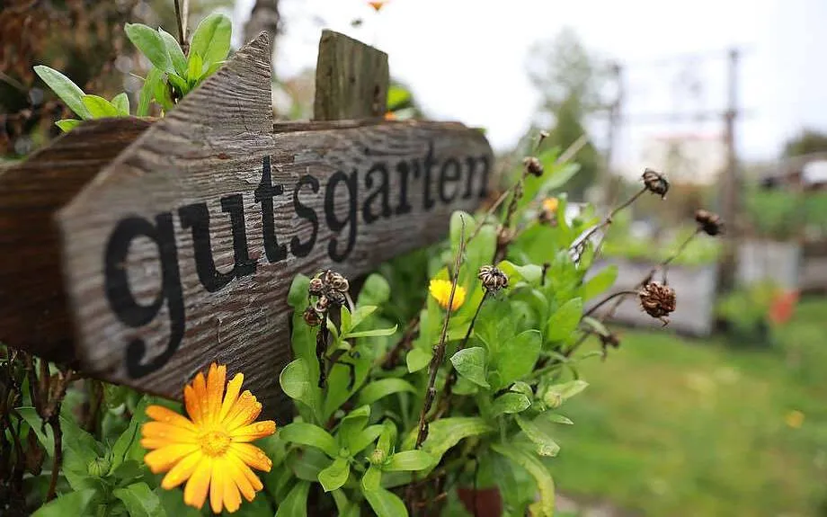 Herbstfest im Gutsgarten Hellersdorf