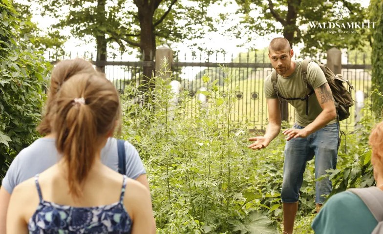 Wildherb Walk Berlin